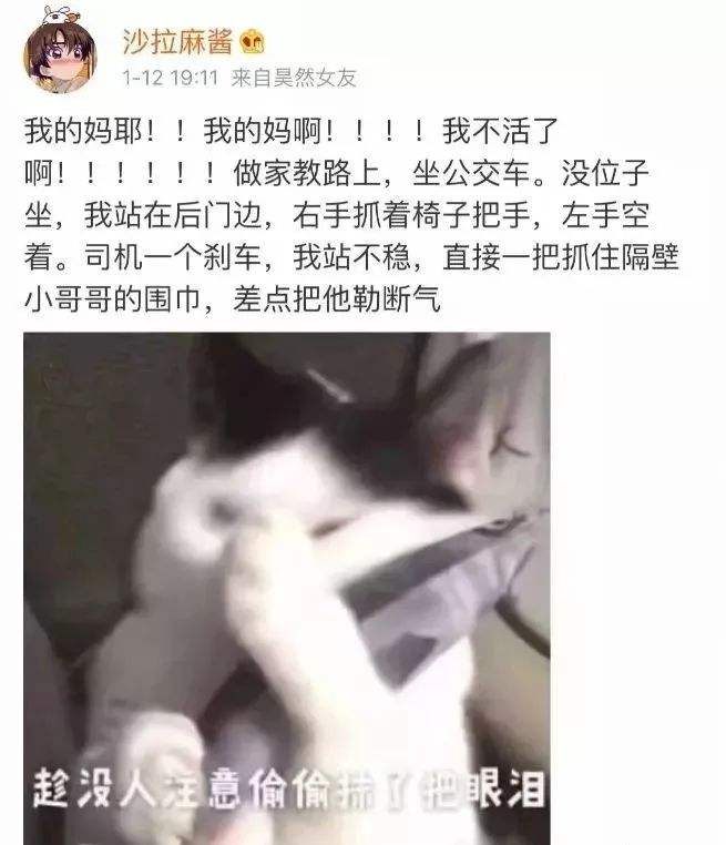 男主很奶的h文的简单介绍