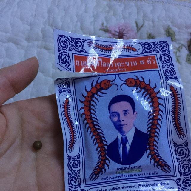 包含泰国蜈蚣丸哪些人不能吃的词条 包含泰国蜈蚣丸哪些人不能吃的词条