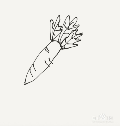 胡萝卜须的故事寓意(许嵩胡萝卜须歌词故事)