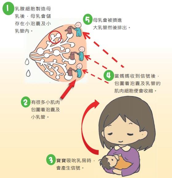 喷奶视频(喜欢你日语翻译发音)