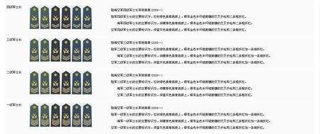 军衔胸章级别图片(解放军军衔胸章图解)