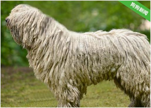 界体(界体免费阅读)