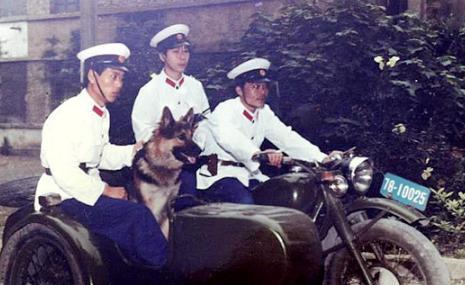 凌国梁(凌国梁电视剧叫什么)