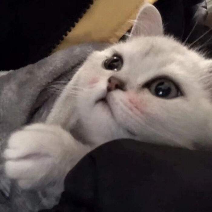 沙雕情侣名(情侣名又甜又沙雕)