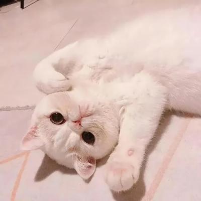 沙雕情侣名(情侣名又甜又沙雕)