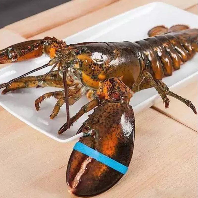 龙虾多少钱一斤(小龙虾价格最新价格)