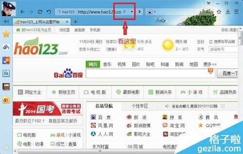 哪个浏览器好用又快(哪个浏览器任何网站都可以访问)