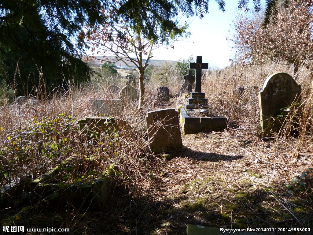 坟地栽树正确方位(坟地栽树最佳位置图)