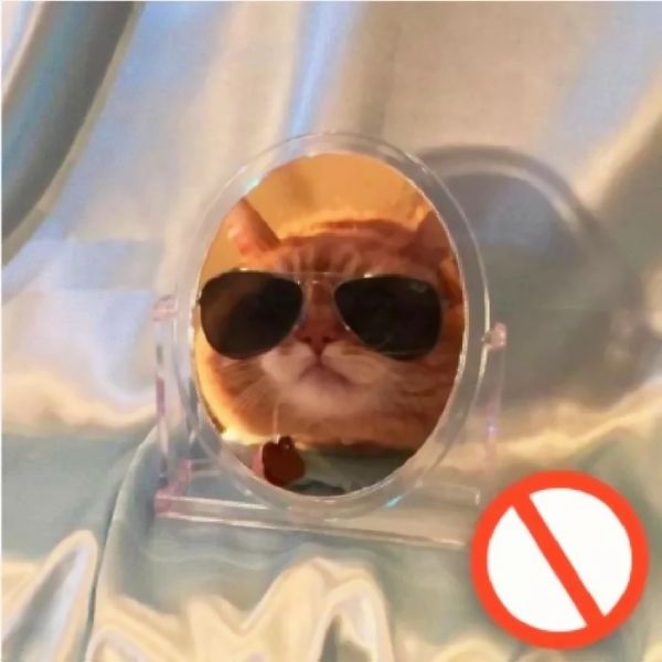 沙雕情侣名(沙雕情侣头像智障)