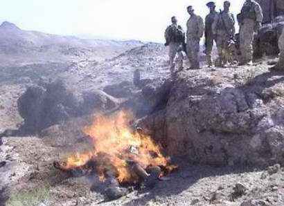 莫菁门事务(广西柳州莫菁1240图片)