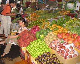 生果批发市场在哪里(更便宜的生果批发市场)
