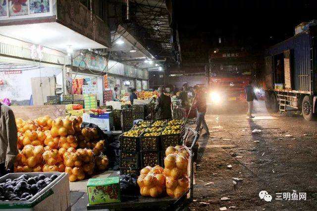 生果批发市场在哪里(更便宜的生果批发市场)