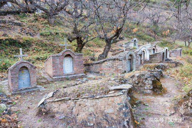 包罗坟前栽树准确位置图片的词条