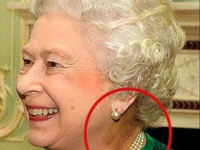 蜥蜴报酬什么怕中国(蜥蜴报酬什么不来中国)