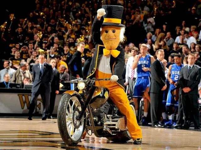 关于华盛顿州立大学以什么做为不祥物的信息