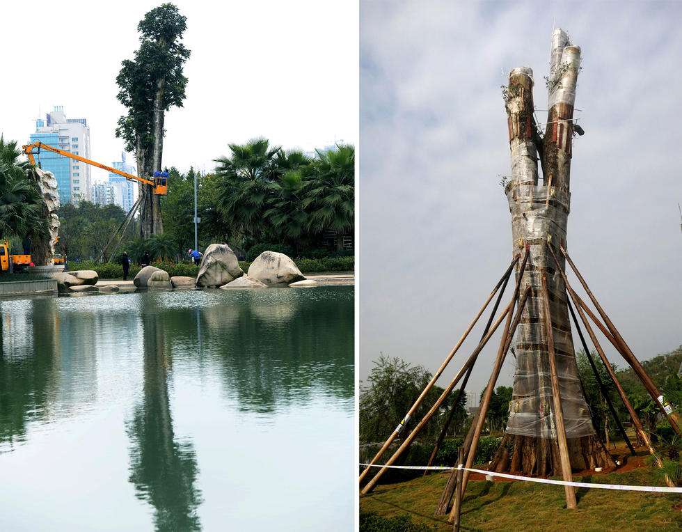 包罗广西柳州莫菁门事务的词条