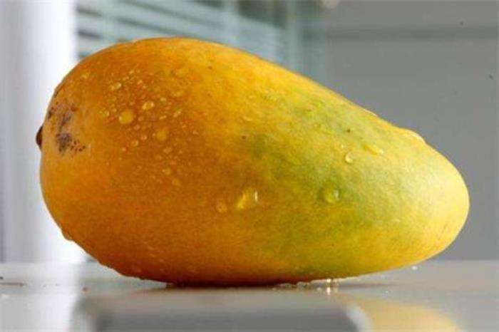 关于一年四时生果天然成熟时间表的信息