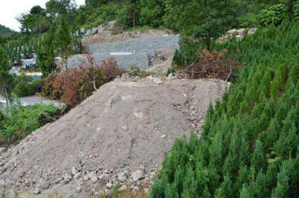 坟前栽树准确位置图片的简单介绍