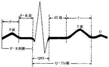 若何看心电图(若何看心电图视频教程)