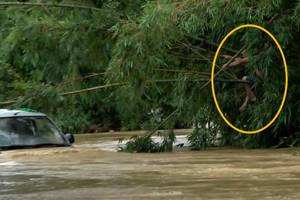 莫菁门事务(柳州莫菁10部全集播放)