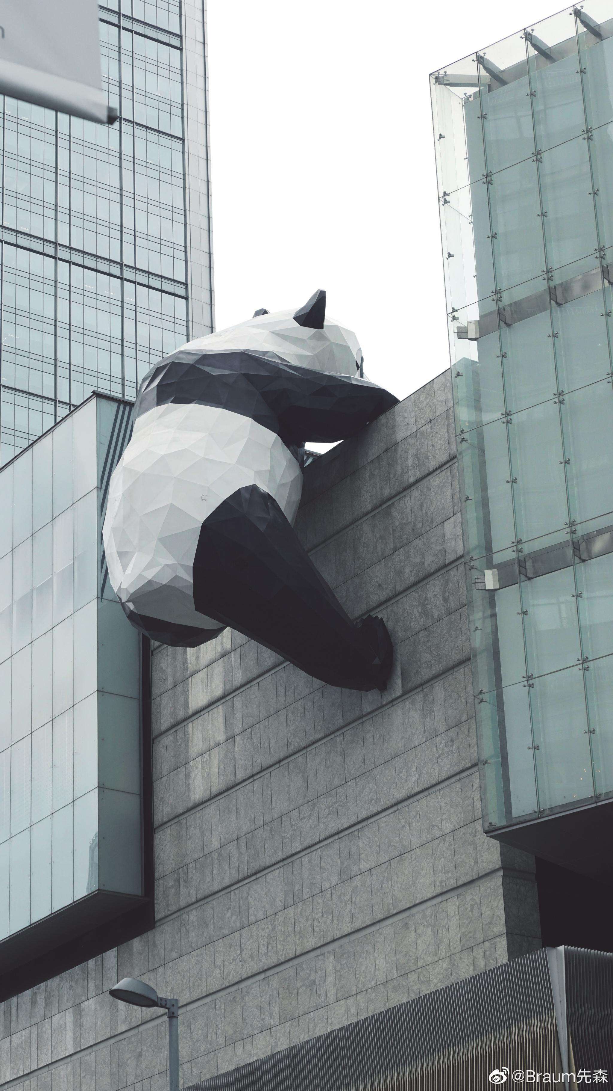 ifs熊猫(春熙路大熊猫在哪个楼)