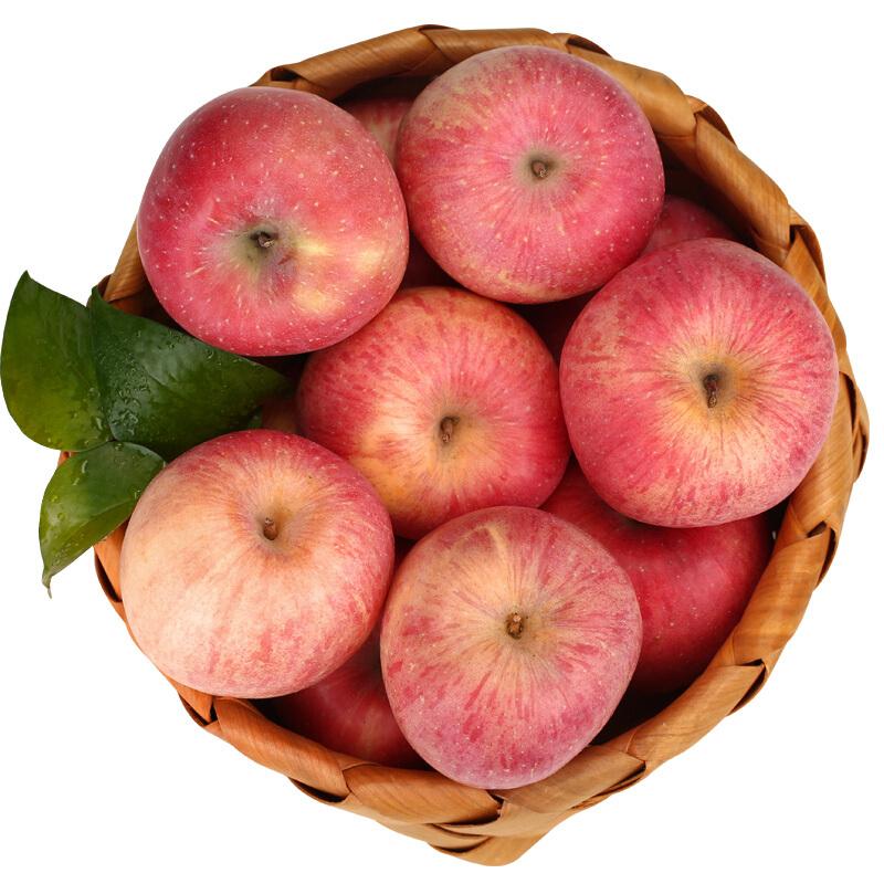 潘苹果(潘苹果和花牛的区别)