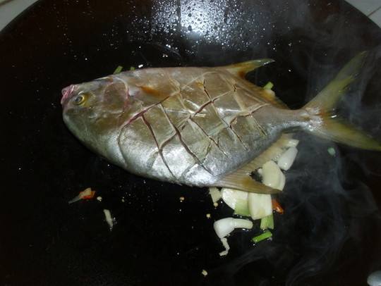 金鲳鱼为什么不克不及吃(金鲳吃多对身体好欠好) 金鲳鱼为什么不克不及吃(金鲳吃多对身体好欠好)