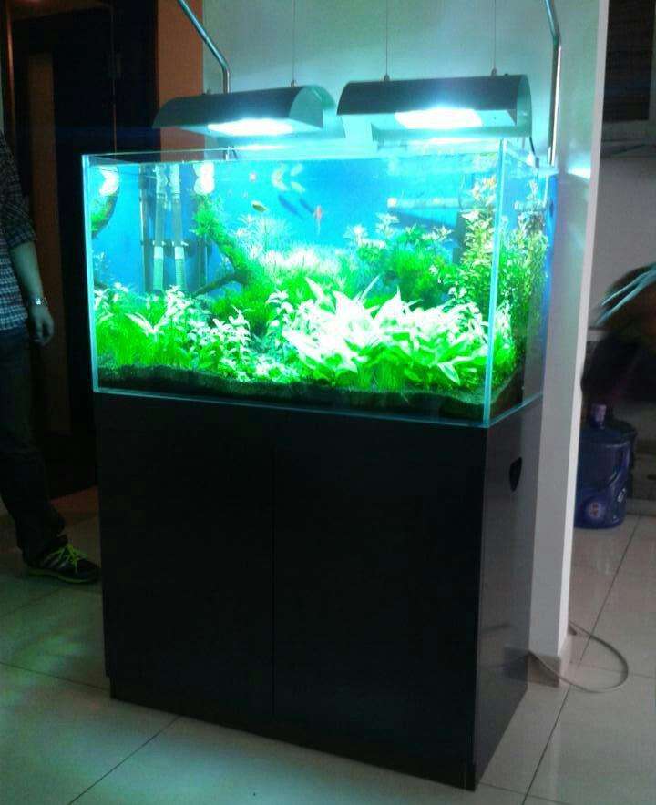 万网封停慧聪网(万网张向东封停慧聪网)