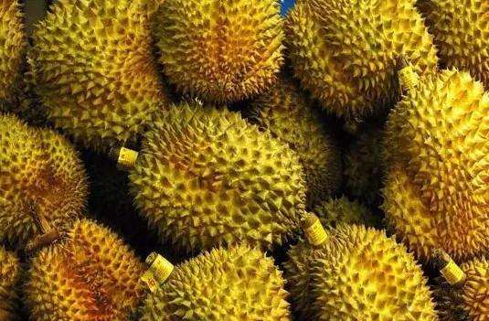 包罗一年四时生果天然成熟时间表的词条