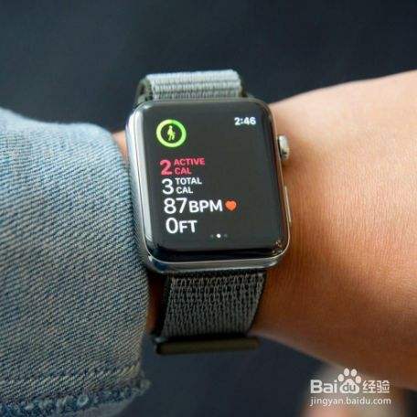 苹果手表有哪些功用介绍(苹果手机电池低于几免费换)