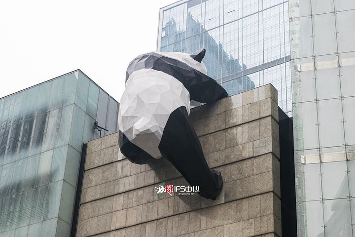 ifs熊猫(春熙路ifs熊猫)