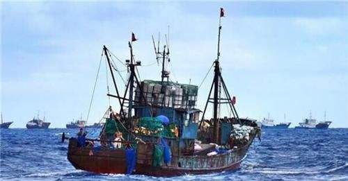 鲁荣渔2682女船员(鲁荣渔2682号事务始末) 鲁荣渔2682女船员(鲁荣渔2682号事务始末)